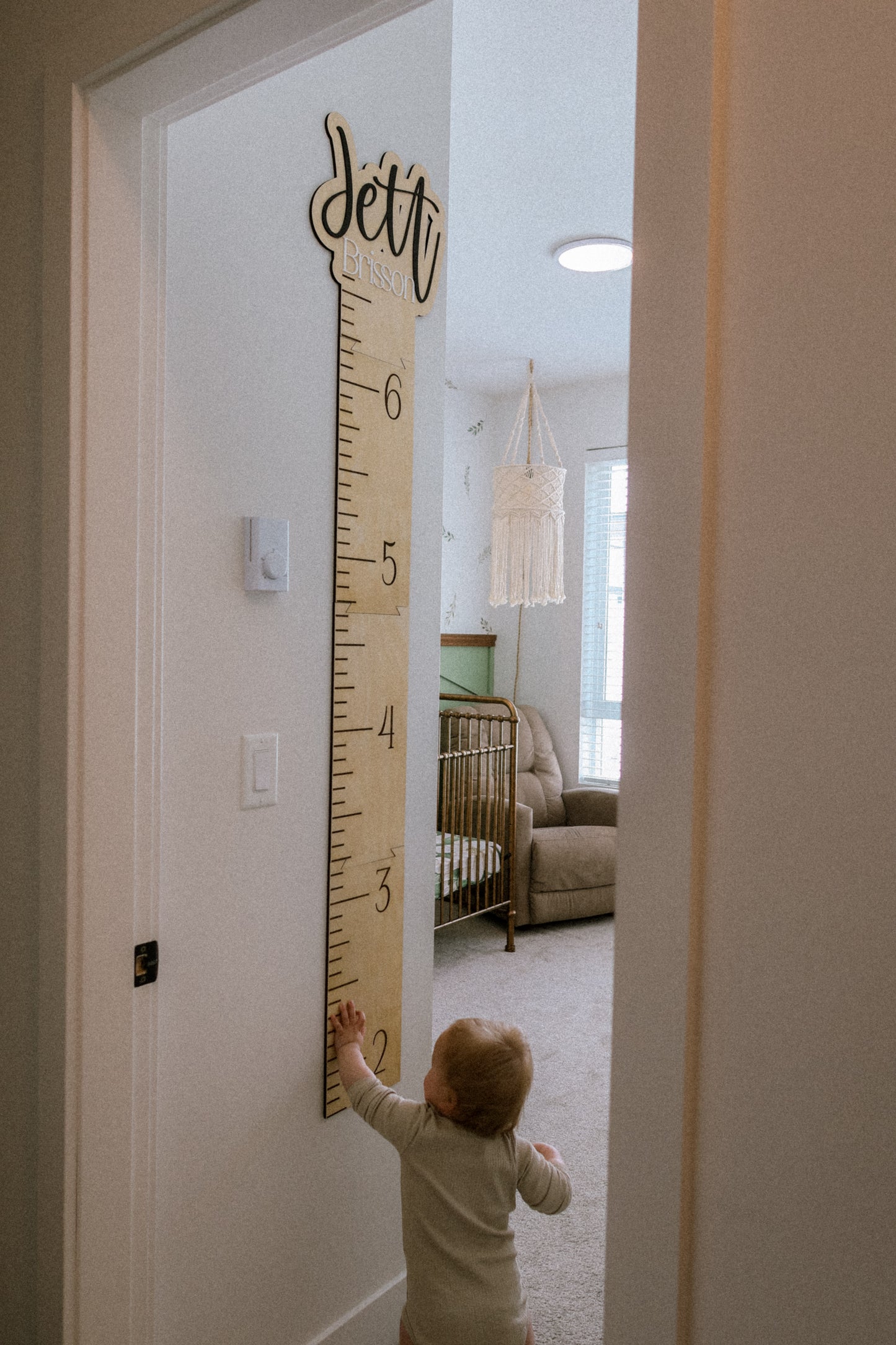 "Puzzle" Growth Chart